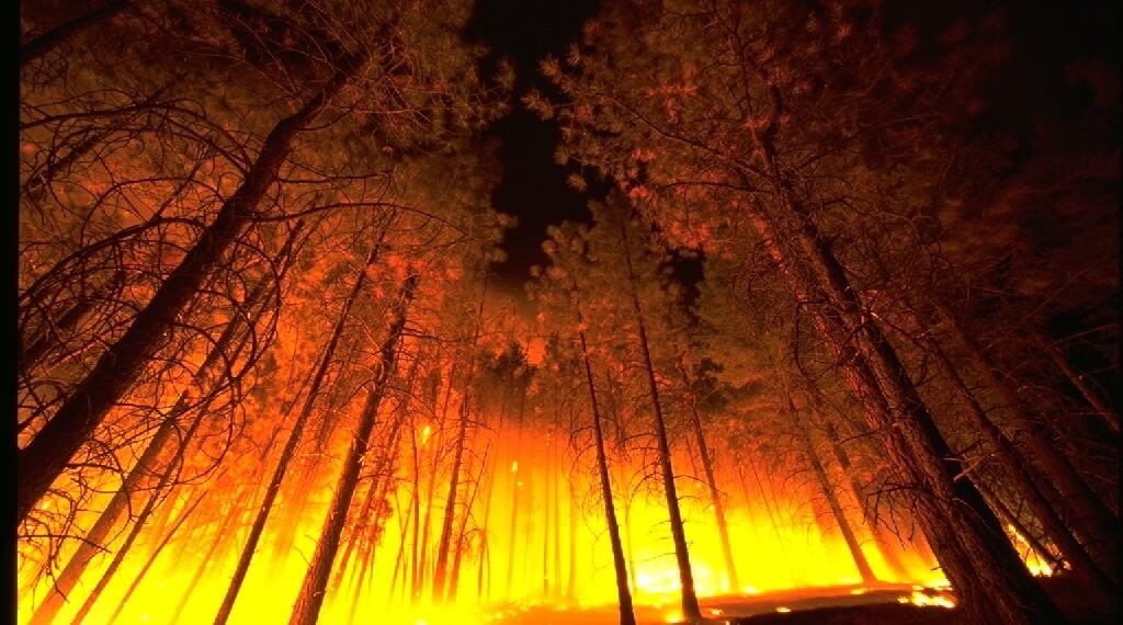Incendies, inondations : comment protéger son or face aux nouveaux risques climatiques ?