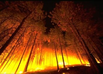 Incendies, inondations : comment protéger son or face aux nouveaux risques climatiques ?