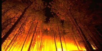 Incendies, inondations : comment protéger son or face aux nouveaux risques climatiques ?