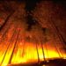 Incendies, inondations : comment protéger son or face aux nouveaux risques climatiques ?