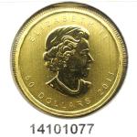 Maple Leaf 1 once - 50 Dollars  