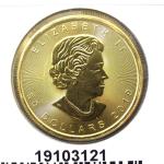 Maple Leaf 1 once - 50 Dollars  