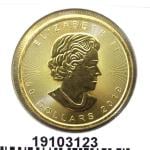 Maple Leaf 1 once - 50 Dollars  