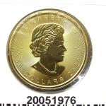 Maple Leaf 1 once - 50 Dollars  