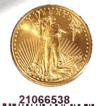 Eagle 1/2 once 25 Dollars US