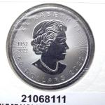 Maple Leaf 1 once - 50 Dollars - Platine 