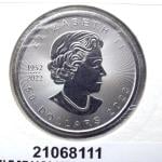 Maple Leaf 1 once - 50 Dollars - Platine 