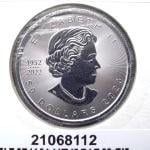 Maple Leaf 1 once - 50 Dollars - Platine 
