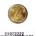 Eagle 1/10 once 5 Dollars US