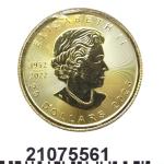 Maple Leaf 1/2 once 20 Dollars Canada