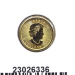 Maple Leaf 1/10 once 5 Dollars Canada