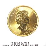 Maple Leaf 1 once - 50 Dollars  