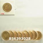 1 gramme d'or pur - Vera Valor (LSP) 