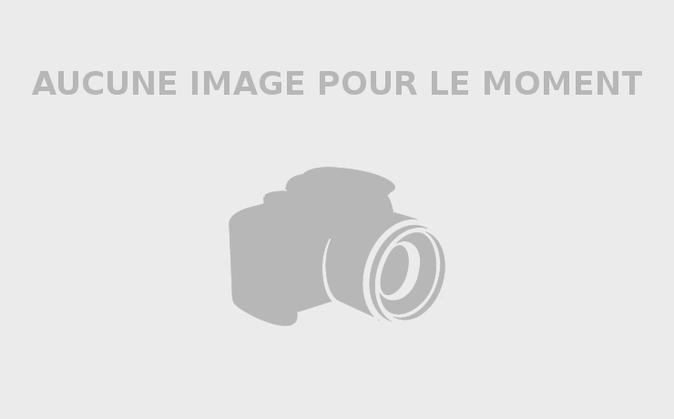 Image revers