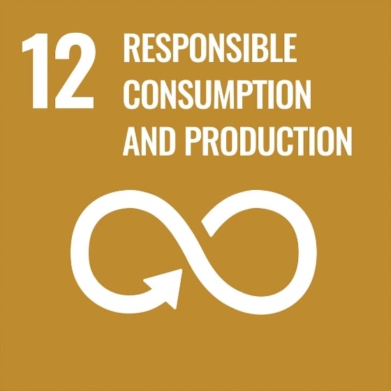 12 - Consommation et production responsables